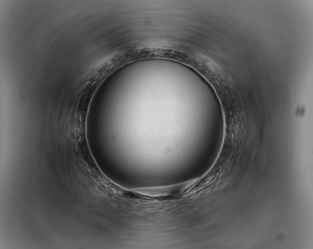 X0000098221062200805011229