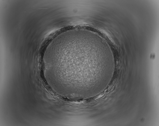 X0000098221063200805011229