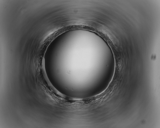 X0000098221064200805011229