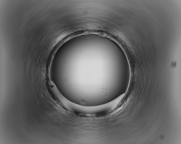 X0000098221065200805011229