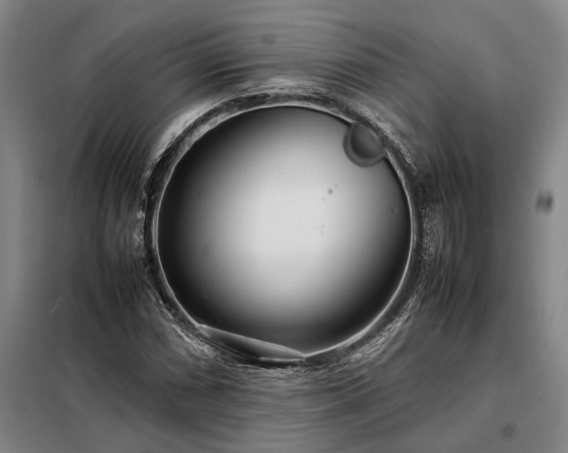 X0000098221066200805011229