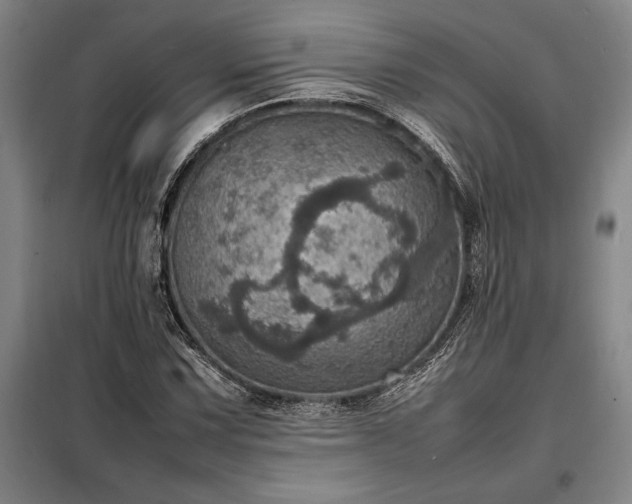 X0000098221067200805011229