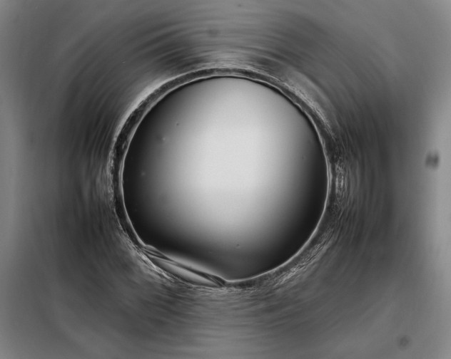 X0000098221068200805011229