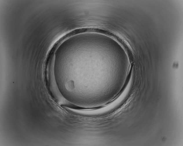 X0000098221069200805011229