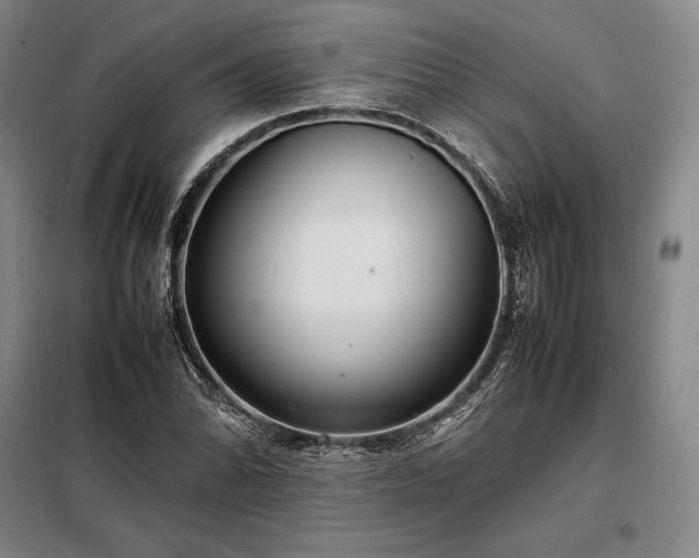 X0000098221070200805011229