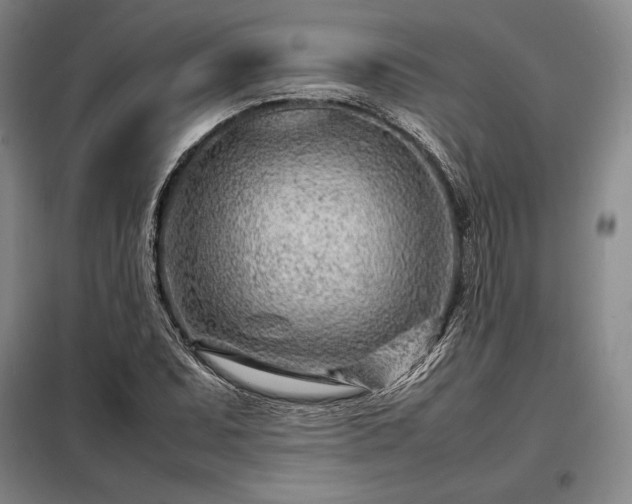 X0000098221071200805011229