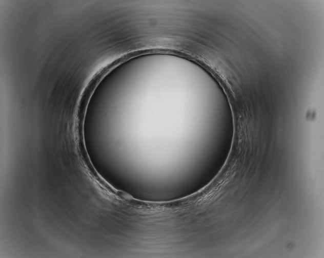 X0000098221072200805011229