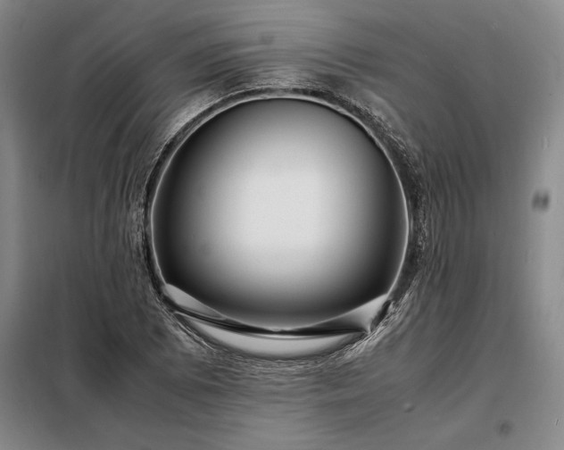 X0000098221073200805011229