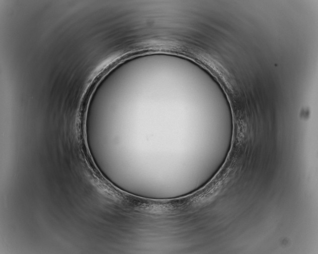 X0000098221074200805011229