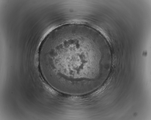 X0000098221075200805011229