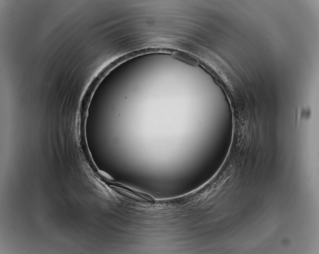 X0000098221076200805011229