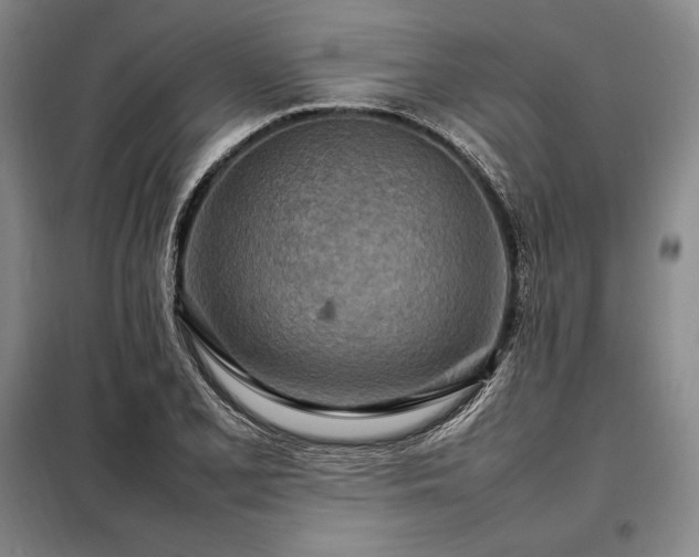 X0000098221077200805011229