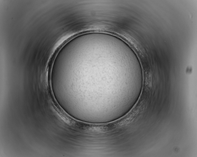 X0000098221078200805011229