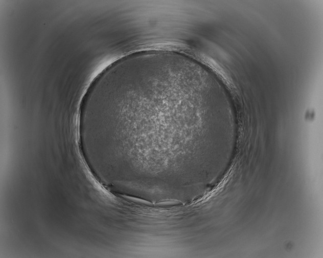 X0000098221079200805011229