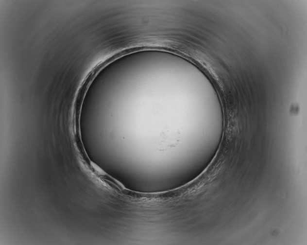 X0000098221080200805011229