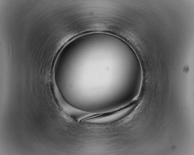 X0000098221081200805011229