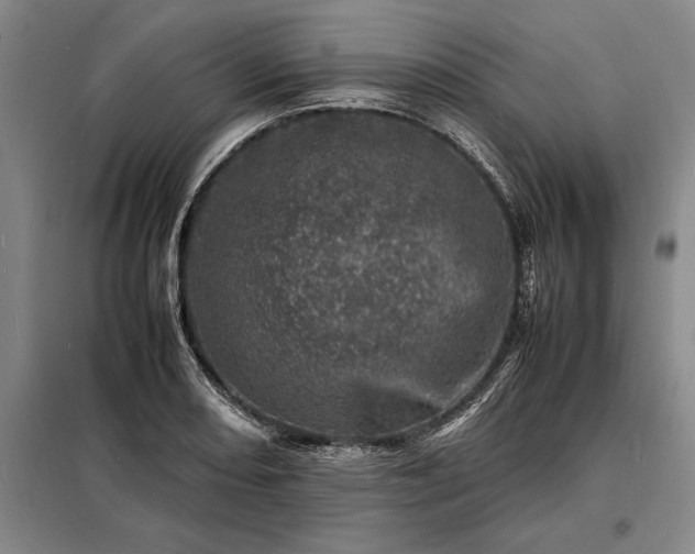 X0000098221082200805011229