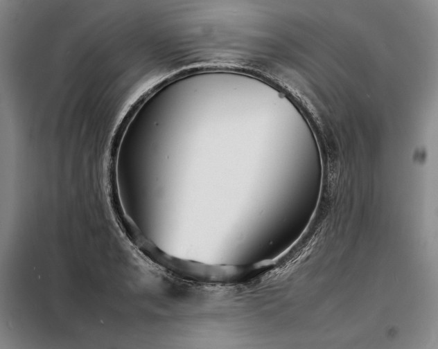 X0000098221085200805011229