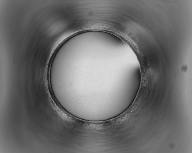 X0000098221086200805011229