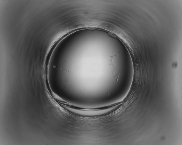 X0000098221088200805011228