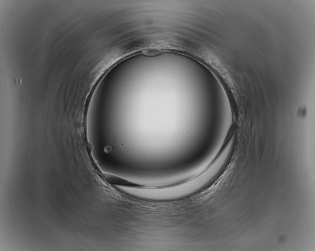 X0000098221089200805011228