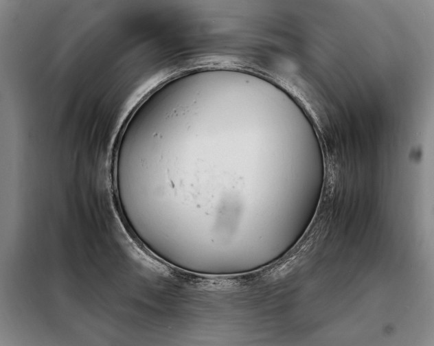 X0000098221090200805011228