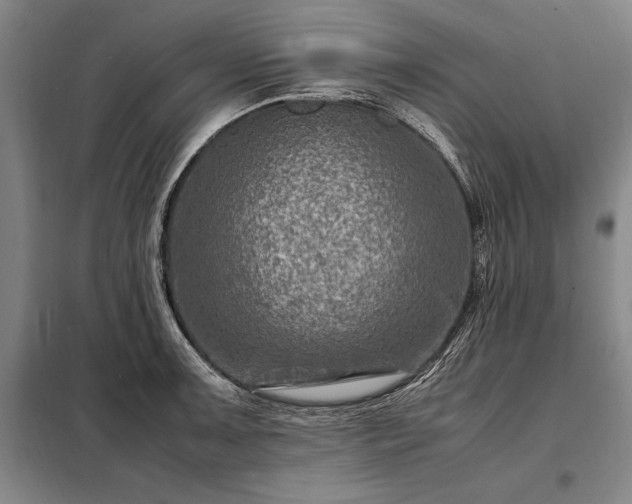 X0000098221091200805011228