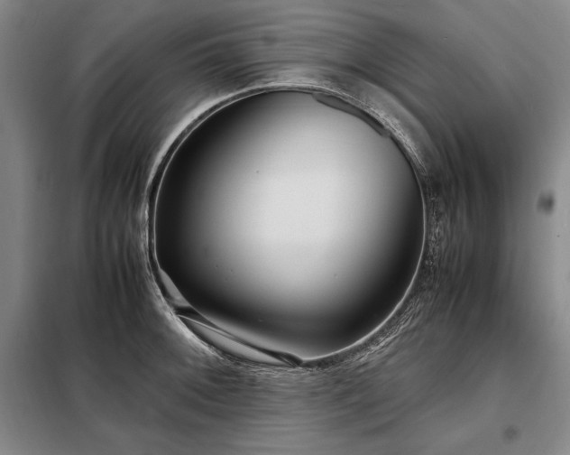 X0000098221092200805011228