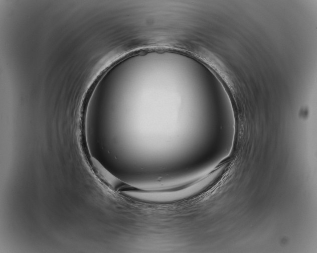 X0000098221093200805011228