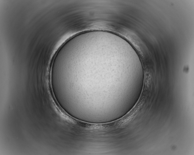 X0000098221094200805011228