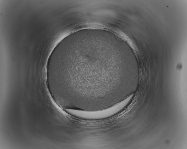 X0000098221095200805011228