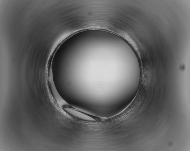 X0000098221096200805011228