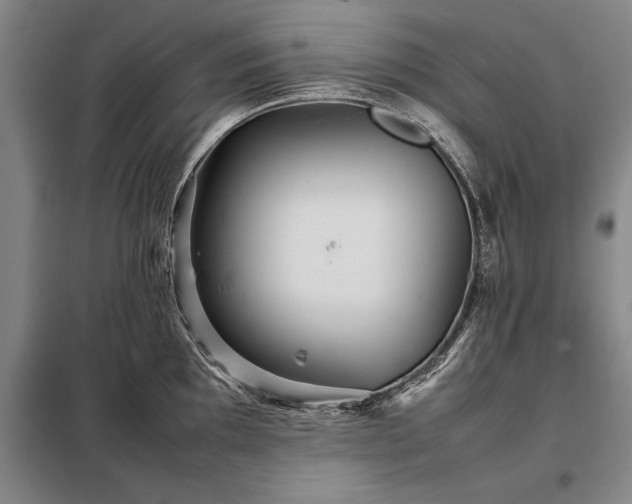 X0000098221097200805011228