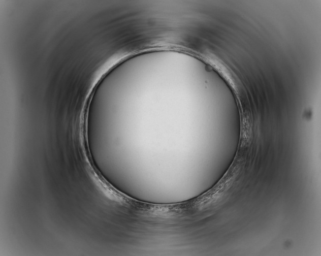 X0000098221098200805011228