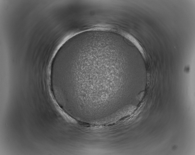 X0000098221099200805011228