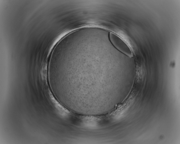 X0000098221100200805011228