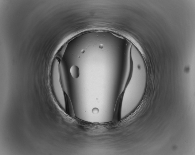 X0000098221101200805011228