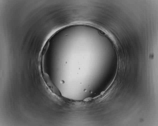 X0000098221102200805011228