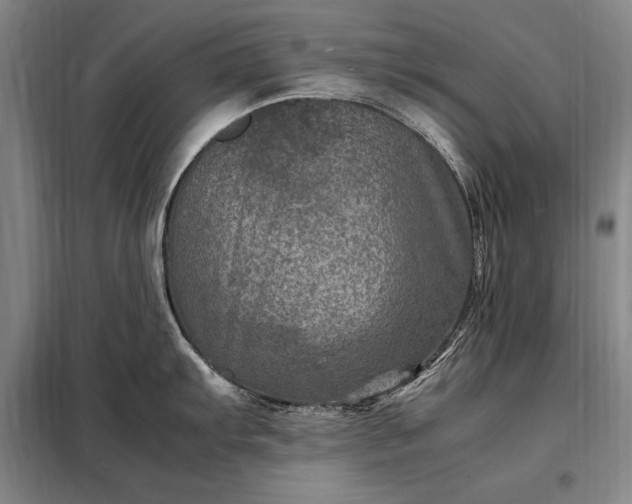 X0000098221103200805011228