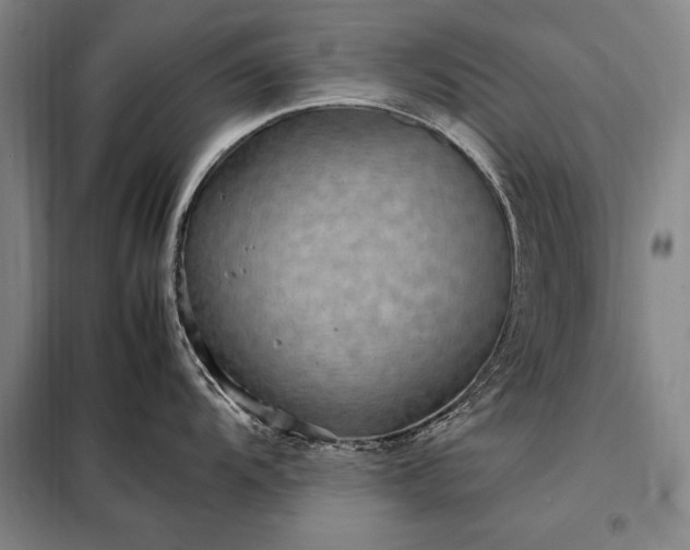 X0000098221104200805011228