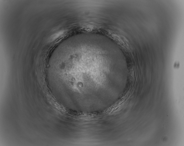 X0000098221105200805011227