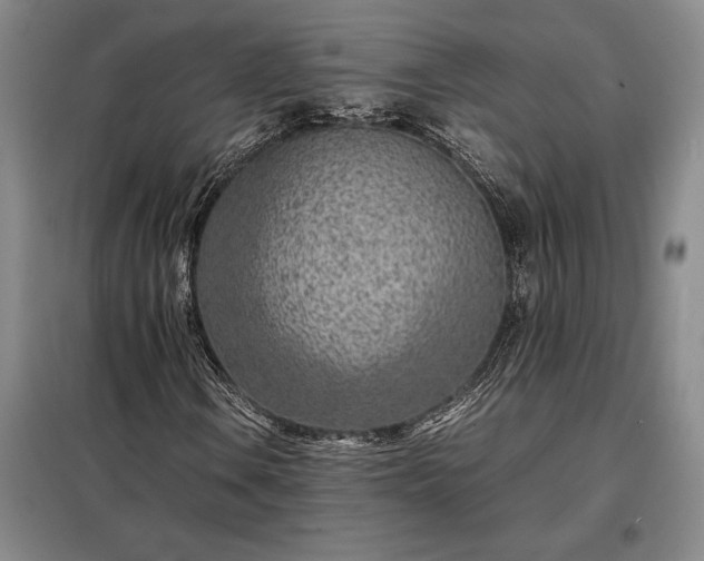 X0000098221106200805011227