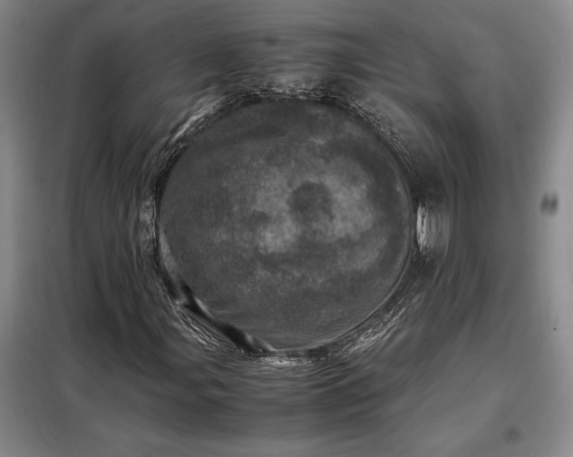 X0000098221107200805011227