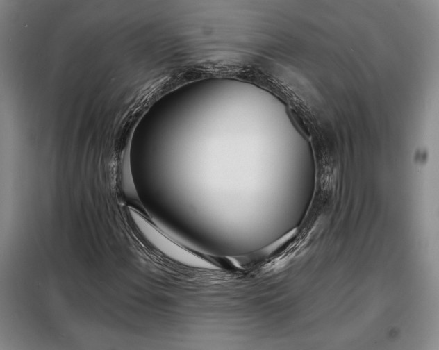 X0000098221108200805011227