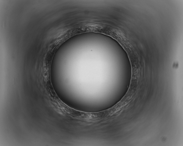 X0000098221109200805011227