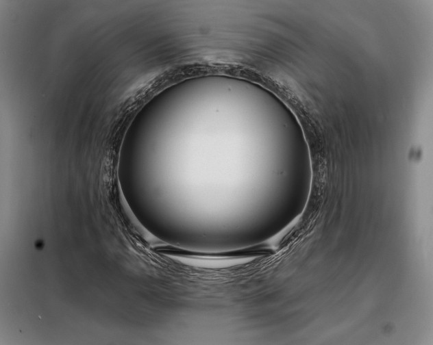 X0000098221110200805011228