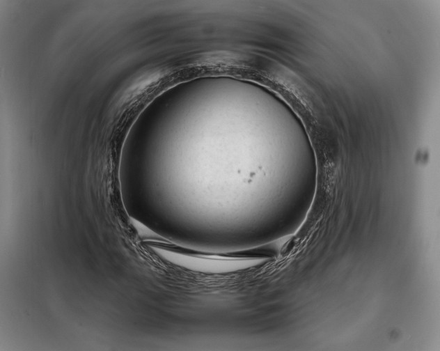 X0000098221111200805011228