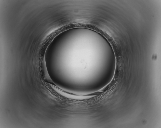 X0000098221112200805011228