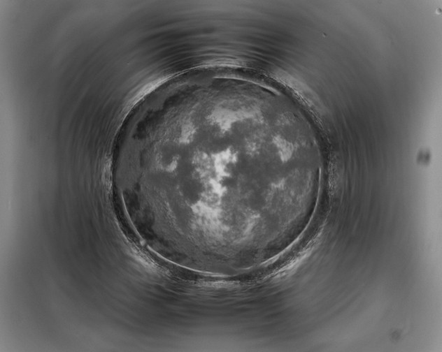 X0000098221113200805011228