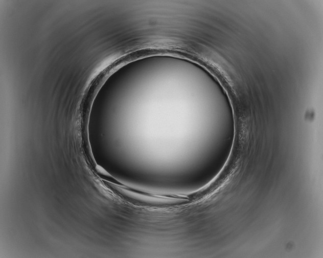 X0000098221114200805011228